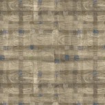 The Plaid One